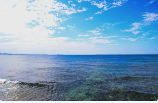 宮城海岸