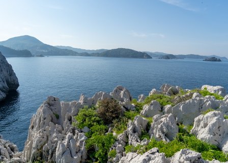 イングリッシュキャンプ（大阪・和歌山）